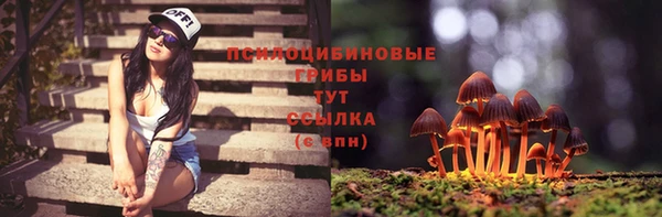 спиды Алзамай