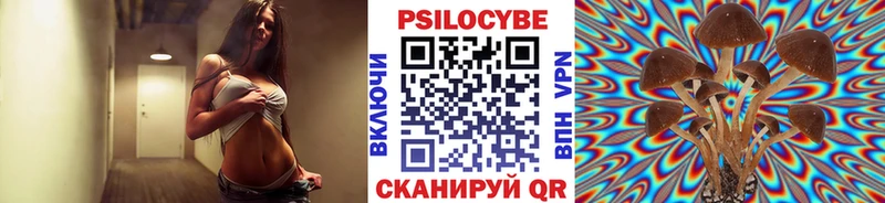 Псилоцибиновые грибы Cubensis  Миллерово 