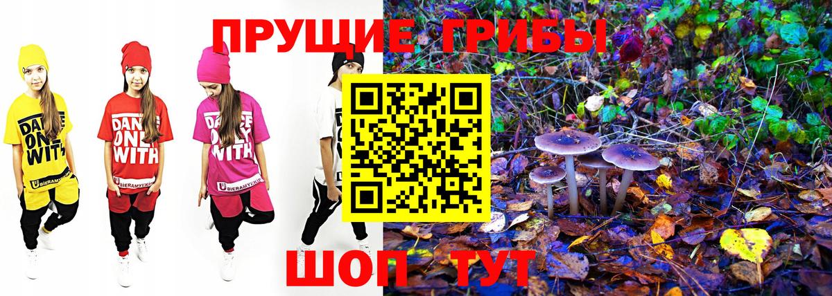 Миллерово  Псилоцибиновые грибы мицелий  Вход с VPN  купить наркотики цена  Псилоцибиновые грибы ЛСД 