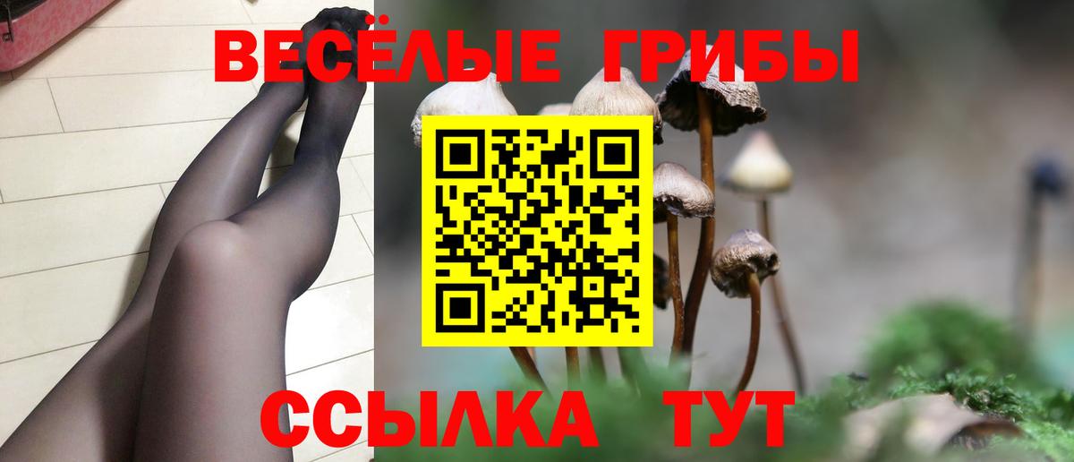 Псилоцибиновые грибы Magic Shrooms Миллерово